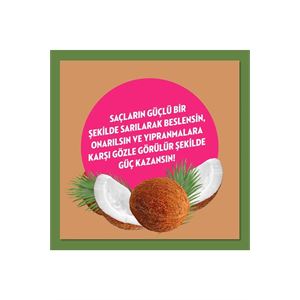 ELİDOR HİNDİSTAN CEVİZİ YAĞI ONARICI&YIPRA ŞAMPUAN 500ML-