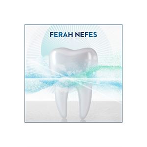 ORAL-B DİŞ ETİ VE DİŞ MİNESİ ONARIM AĞIZ ÇALKALAMA-