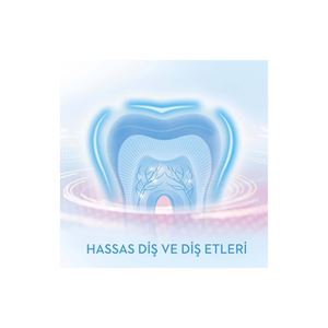 Oral-B Professional Gumcare 3 Smart Şarj Edilebilir Diş Fırçası-