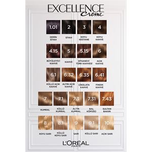 LOREAL PARİS EXCELLENCE 2 SİYAH SET SAÇ BOYASI-