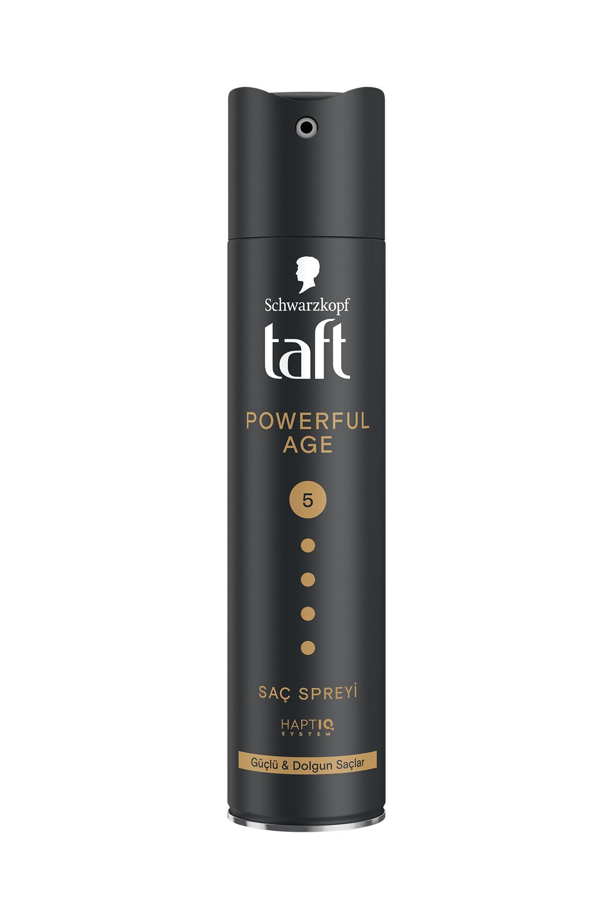 TAFT  POWERFUL AGE 5 SAC SPREYİ 250 ML-