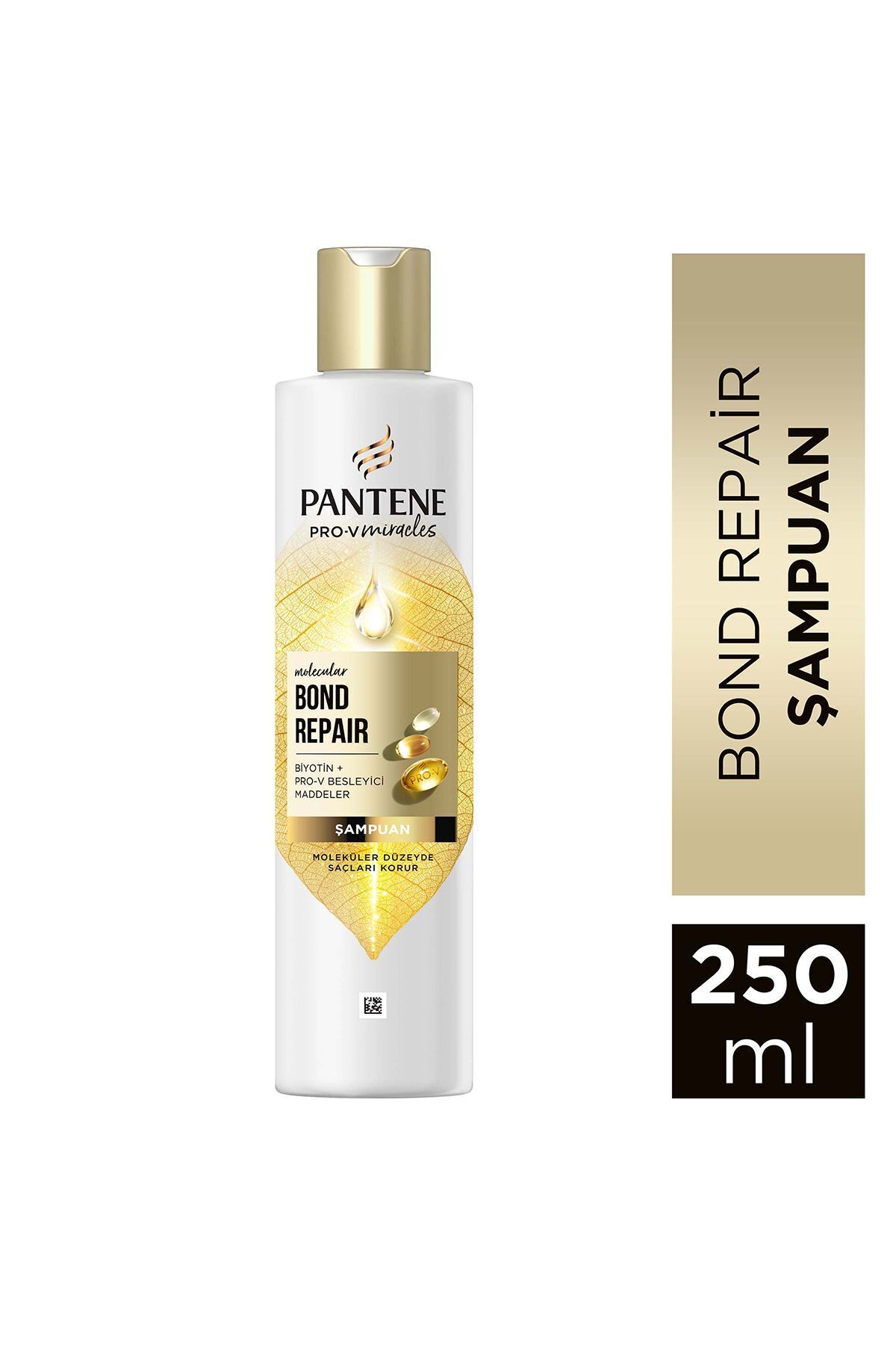 Pantene PRO-V MIRACLES Molecular Bond Repair Şampuan Yıpranmış Saçlar için 250ML-