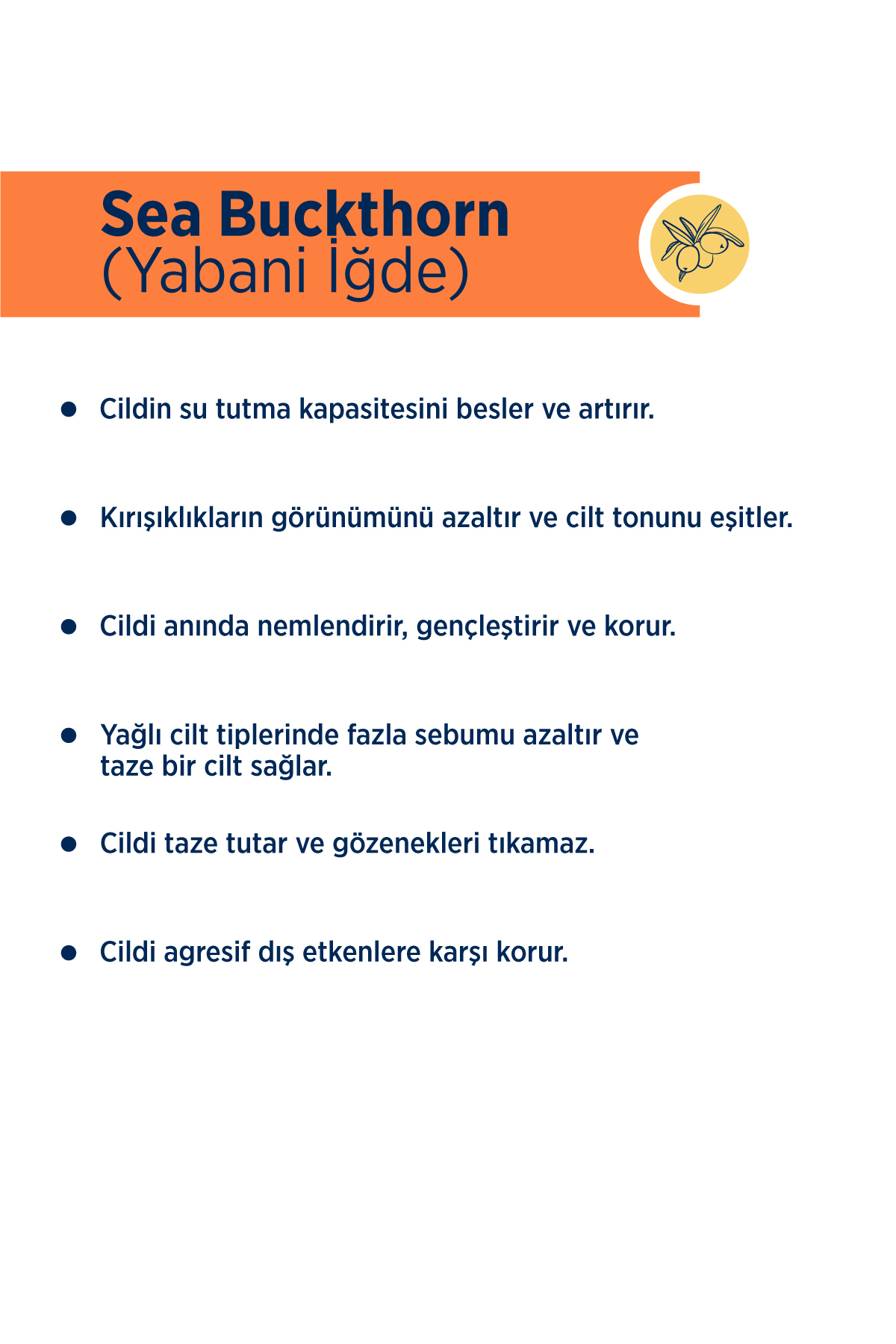 CELENES BY SWEDEN AYDINLATICI VE DENGELEYİCİ SEA BUCKTHORN YÜZ KREMİ YAĞLI VE KARMA CİLTLER 50 ML-