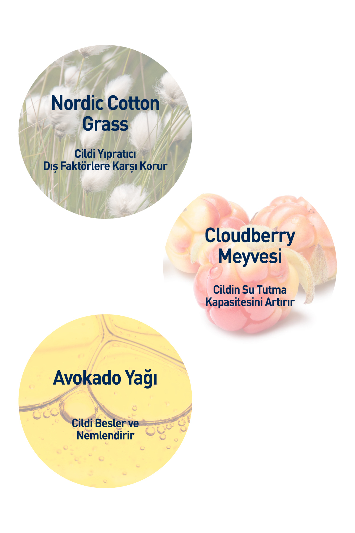 CELENES BY SWEDEN CLOUDBERRY YATIŞTIRICI YUZ KREMI 50ML KURU/HASSAS-