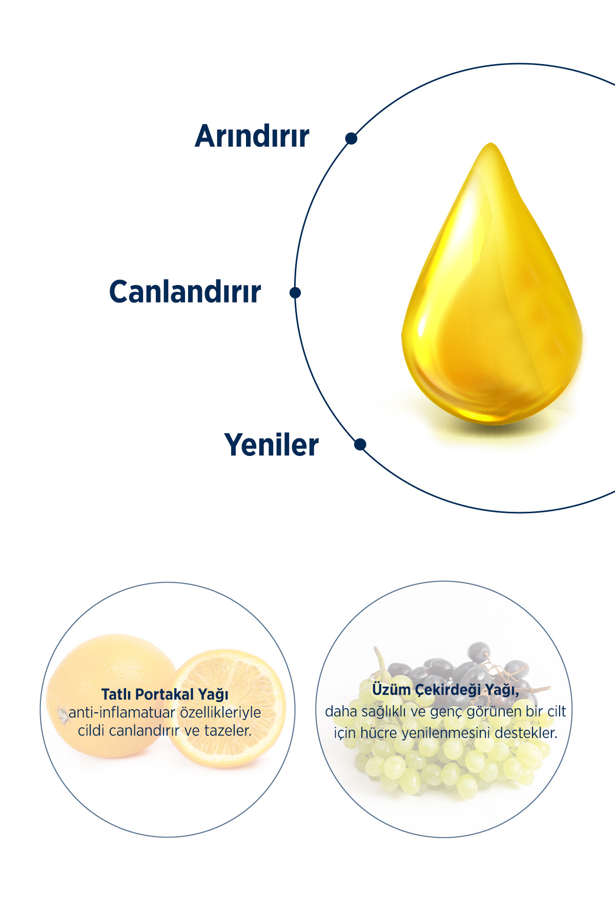 CELENES BY SWEDEN NORDİC OİL ARINDIRICI YÜZ TEMİZLEME YAĞI TÜM CİLT TİPLERİ-
