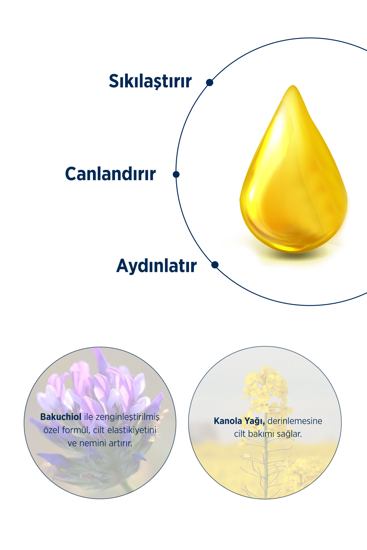 CELENES BY SWEDEN NORDİC OİL ULTRA NEMLENDİRİCİ ELİXİR SERUM-