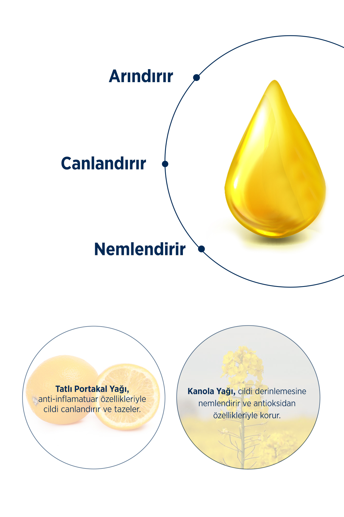 Celenes By Sweden Nordic Oil Besleyici Duş Yağı 400 ml-