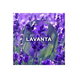 AİR WİCK ELEKTRİKLİ ODA KOKUSU YEDEK LAVANTA-