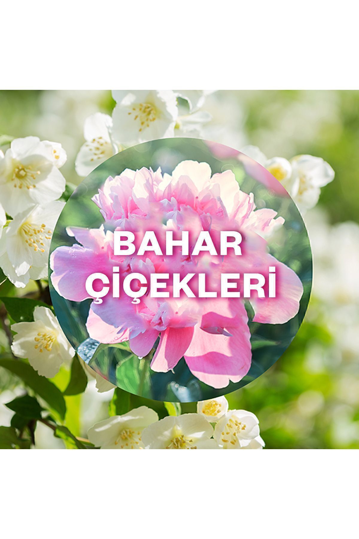 AİRWİCK ELEKTRİKLİ ODA KOKUSU YEDEK BAHAR ÇİÇEKLER-