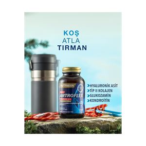 NUTRAXİN ARTROFLEX HYA-CII 90 TABLETSKT 4-