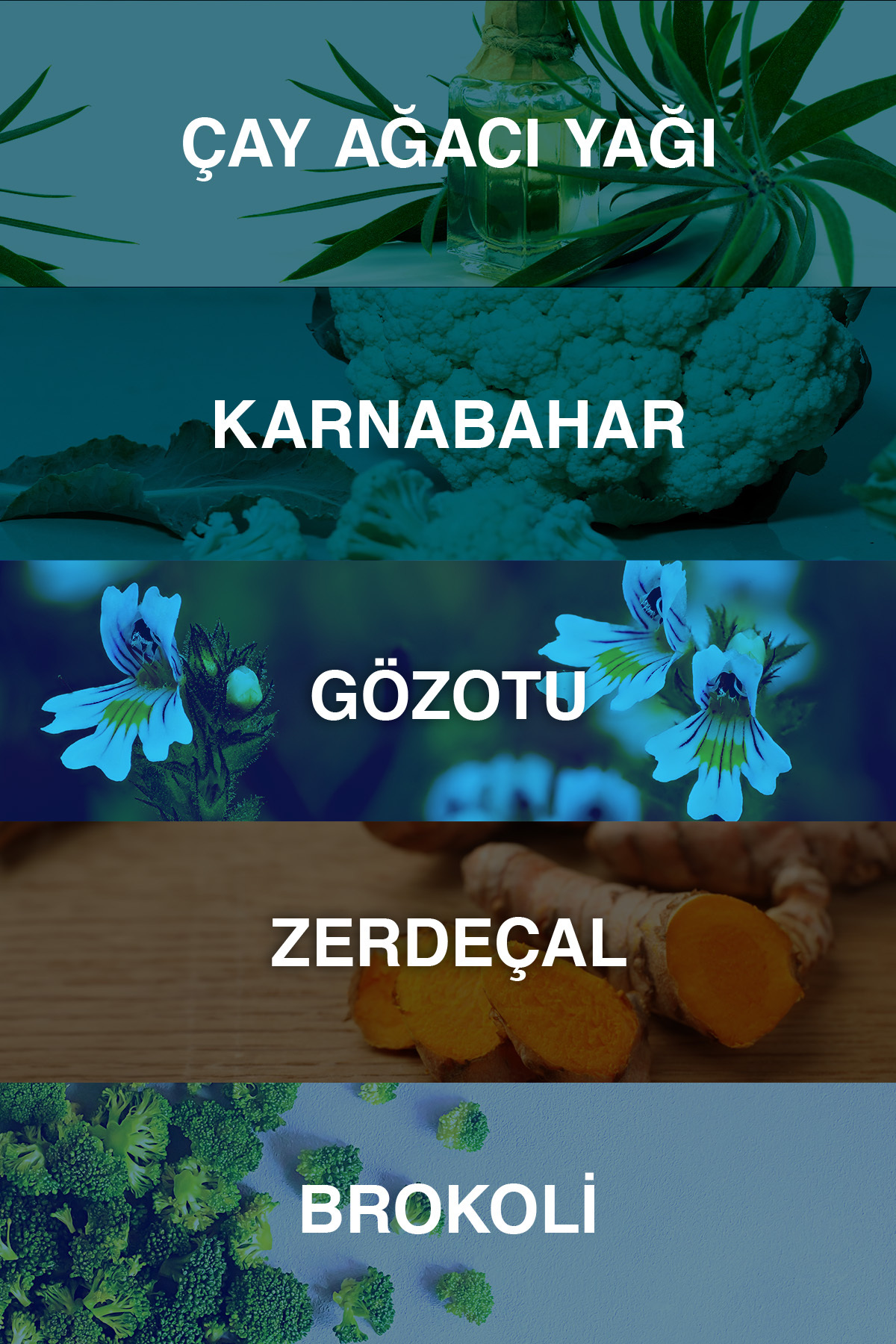 Bioxcin Acnium Sebum Dengeleyici Yüz Yıkama Jeli 5-