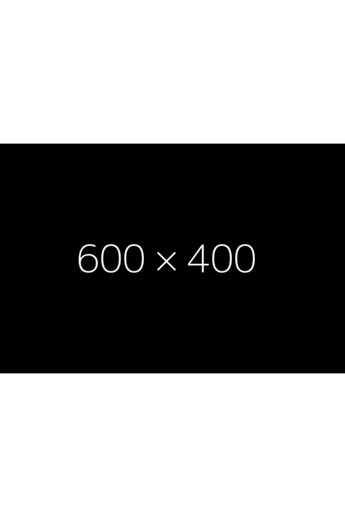 Garnier Nutrisse Yoğun Besleyici Saç Boyası 4.26-