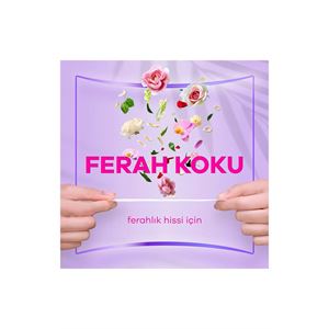 Orkid Yaprak Pamuksu Günlük Ped Deo Fresh Dev Ekon-