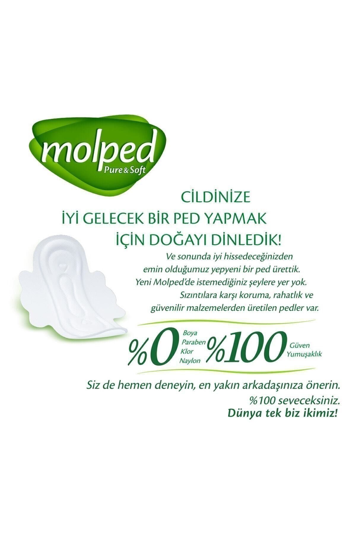 Molped Pure Soft Normal Eko 24 Lü-