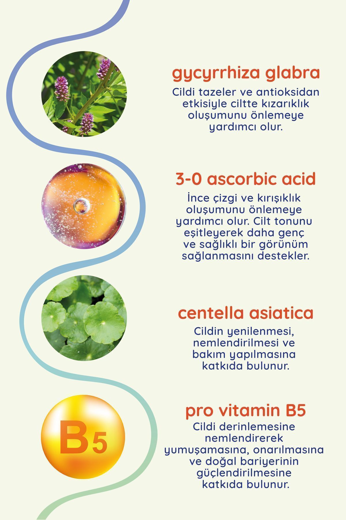 Everyday Beautiy Glow Baby C Vitamini Serum 30ml-