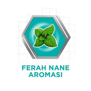 Corega Süper Protez Yapıştırıcı Krem Naneli 40gr-