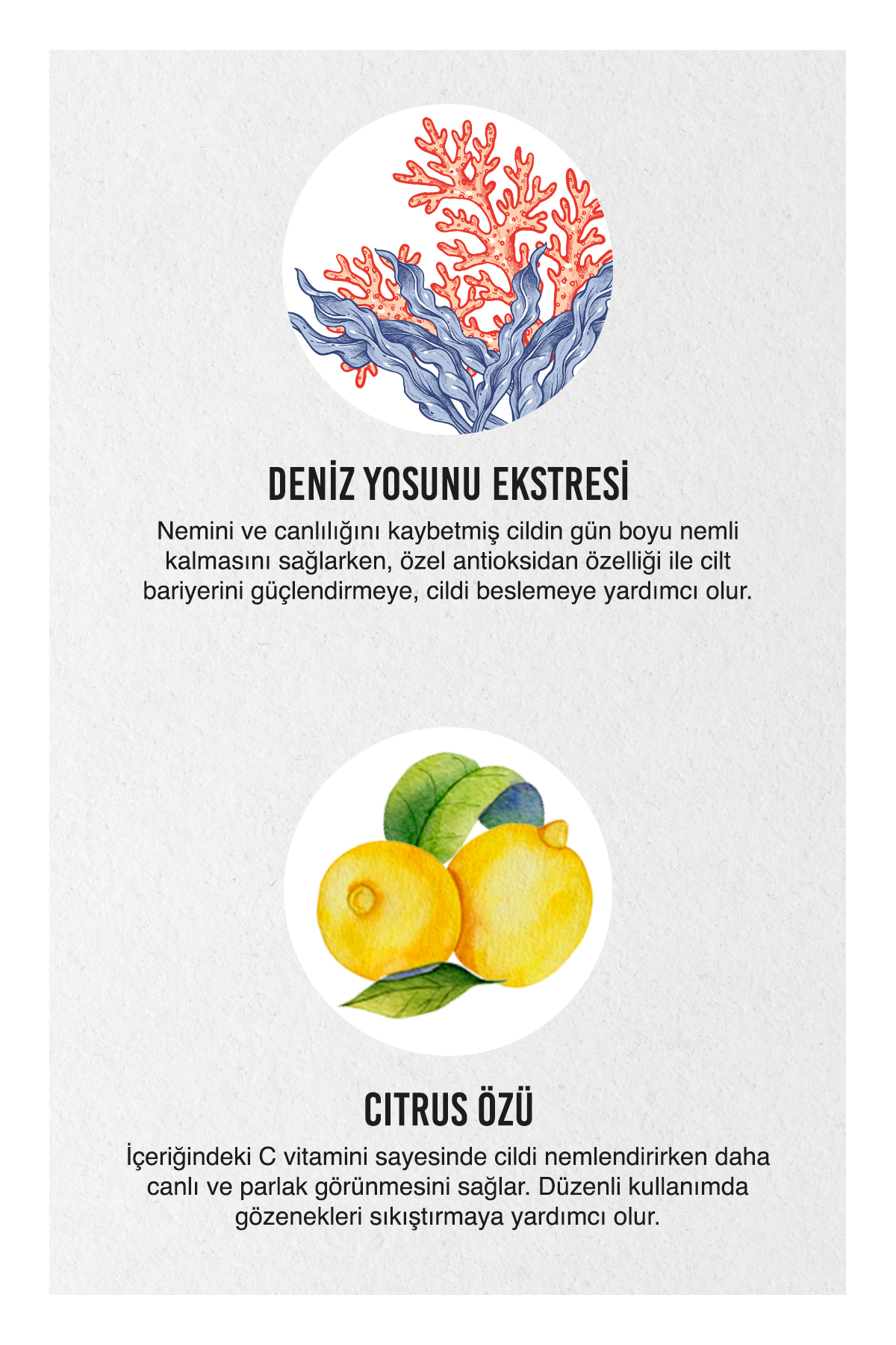 Urban Care Seaweed Citrus Nemlendirici Ve Besleyic-