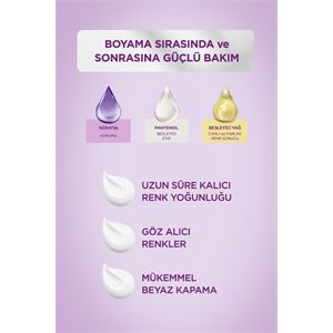 Palette Göz Alıcı Renkler Kestane Saç Boyası 5-68-