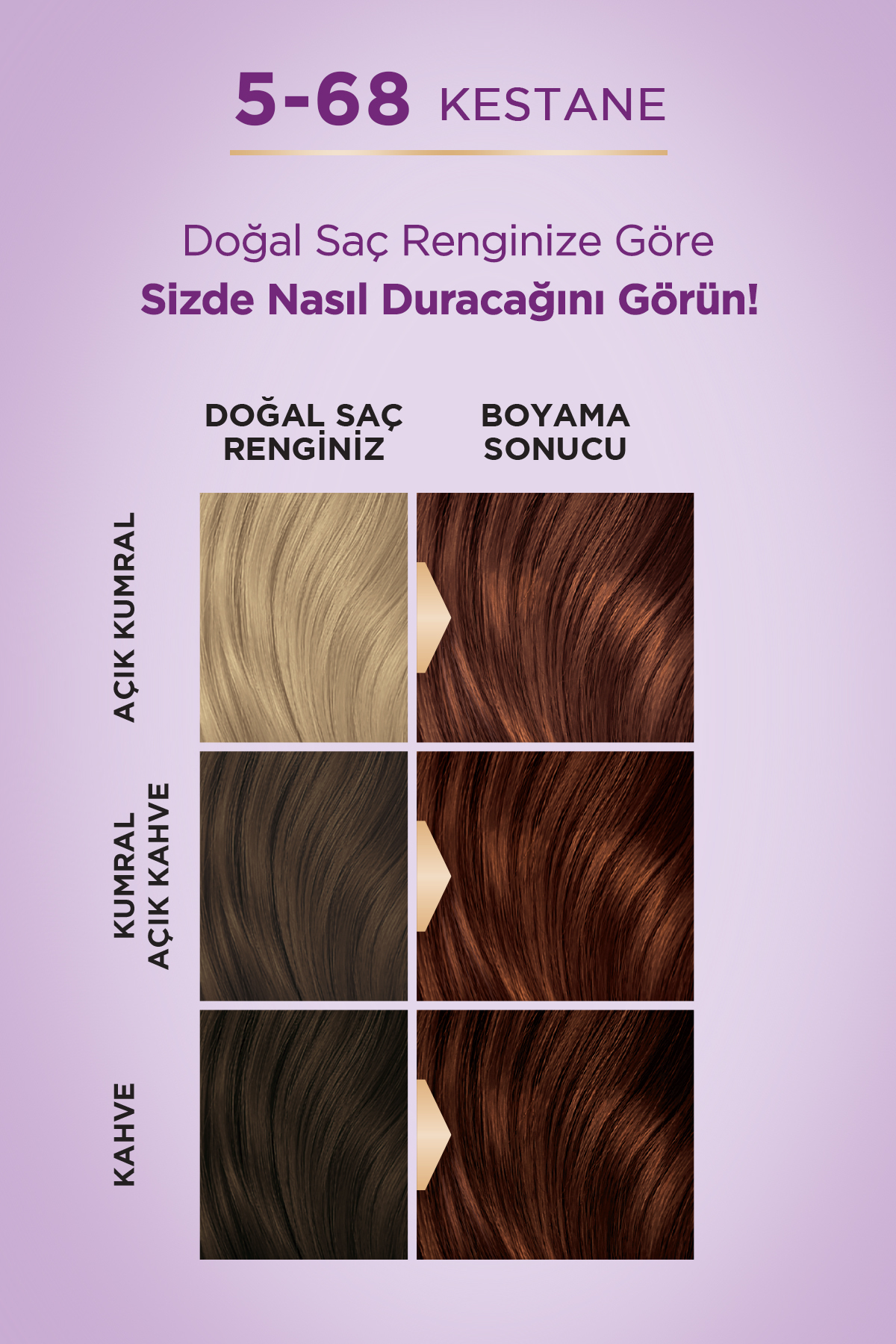 Palette Göz Alıcı Renkler Kestane Saç Boyası 5-68-