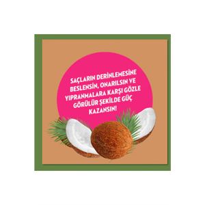 Elidor Hindistan Cevizi Yağı Şampuan 400 ml-