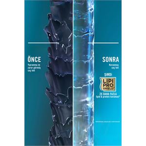 Morocco Argan Oil Morrocco Şampuanı 385 ml-