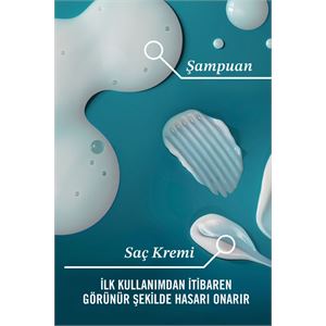 Morocco Argan Oil Morrocco Şampuanı 385 ml-