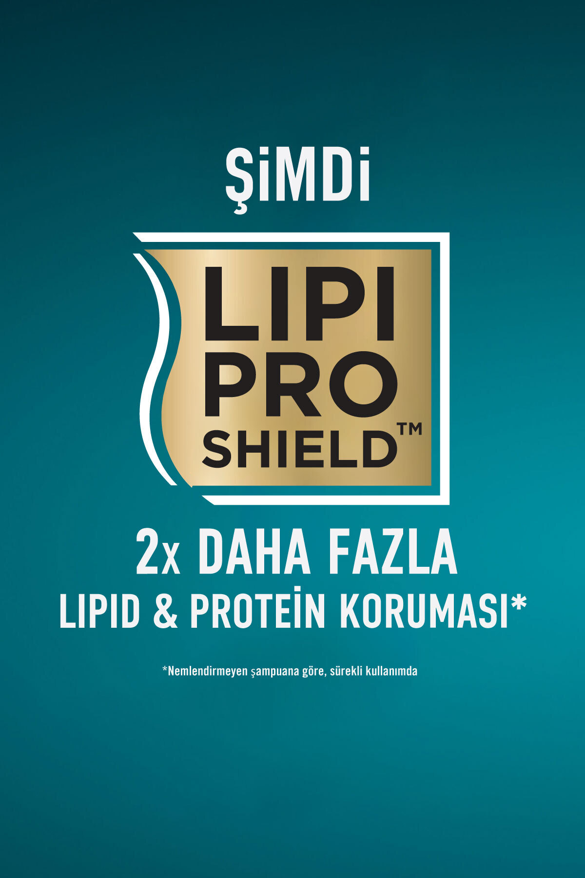 Morocco Argan Oil Morrocco Şampuanı 385 ml-