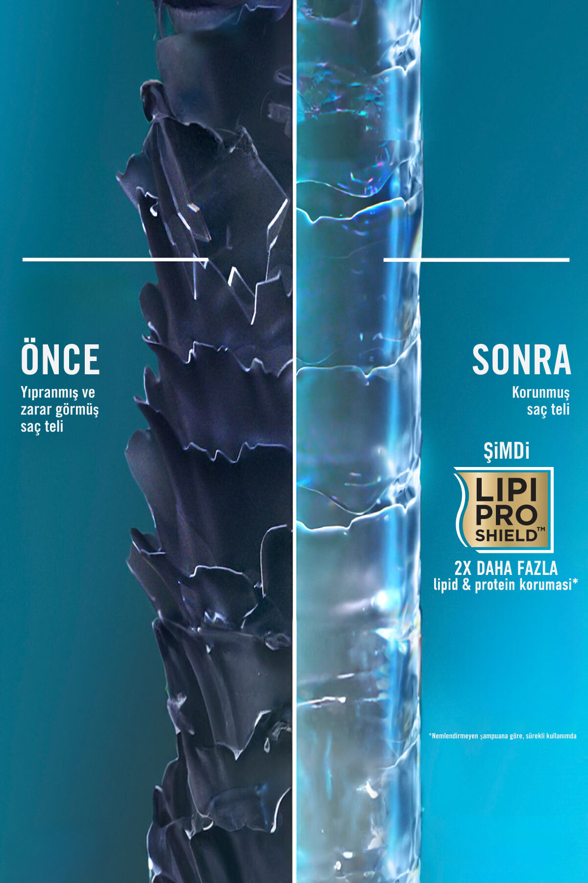 Morocco Argan Oil Morrocco Şampuanı 385 ml-