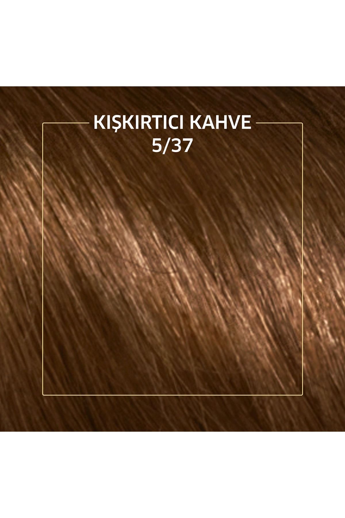 WELLA KIT 5/37 KISKIRTICI KAHVE KOLESTONKİT-