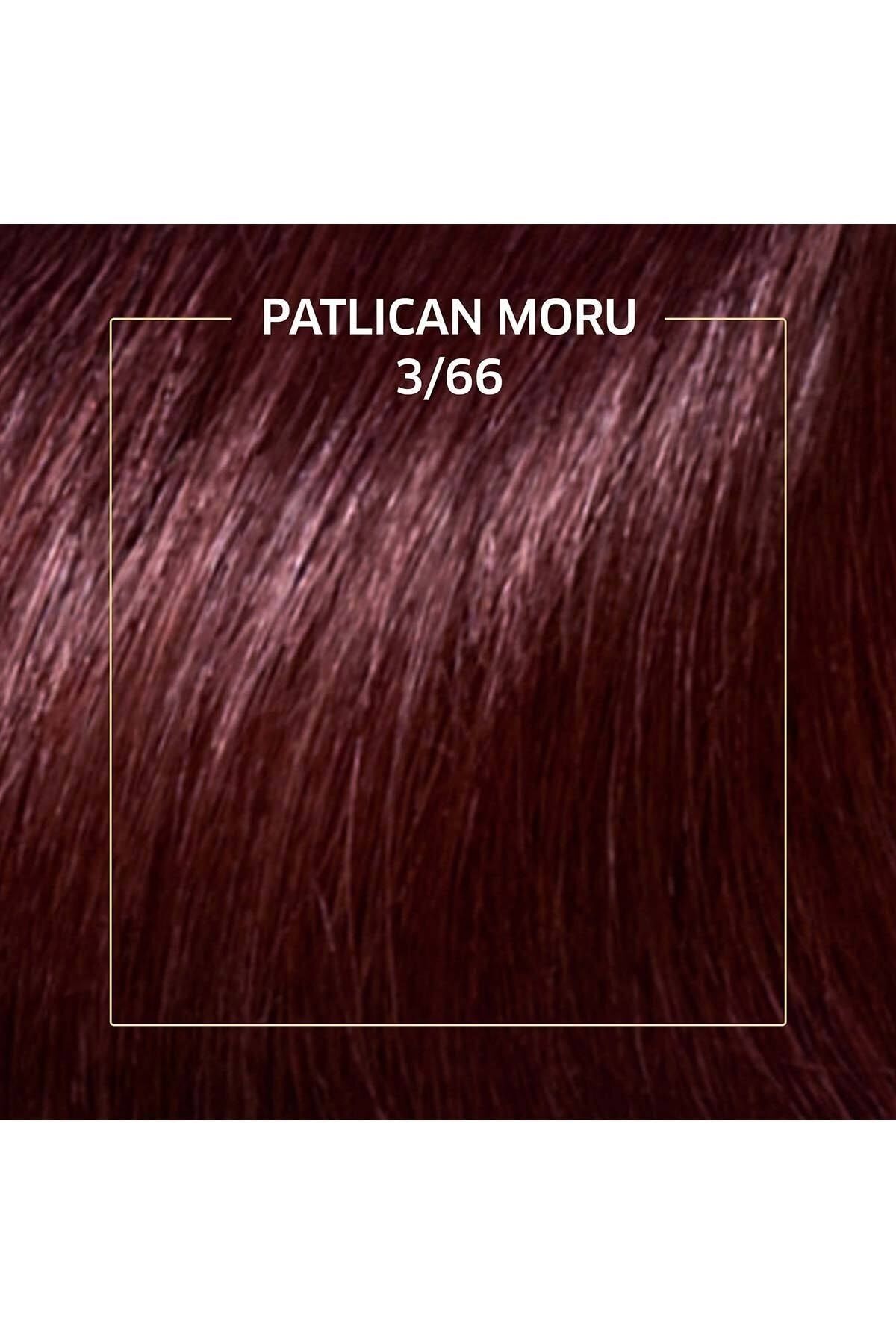 WELLA KIT 3/66 PATLICAN MORU KOLESTONKİT-