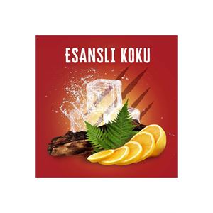 OLD SPİCE DUŞ JELİ & ŞAMPUAN 400 ML BEARGLOVE-
