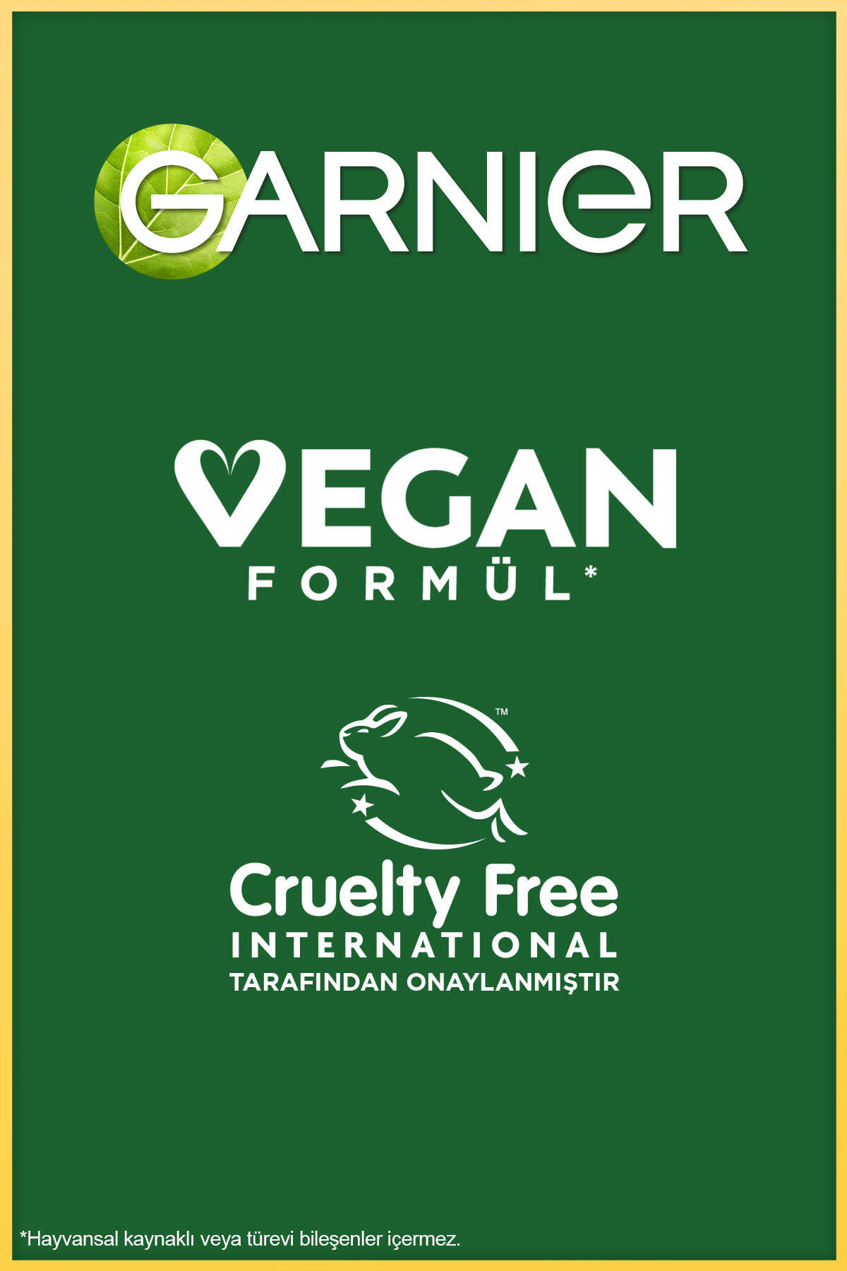 Garnier Vitamin C Parlaklık Etkili Canlandırıcı Tonik Salisilik Asit 120-