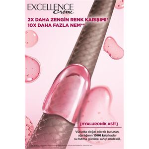 L'Oreal Paris Excellence Creme Saç Boyası 5.3 Koyu Karamel-