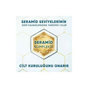 Head And Shoulders DermaXPRO Onarıcı Nemlendirme Kepek Karşıtı Şampuan Hindistan Cevizi Yağı ve Seramid ile 300ml-