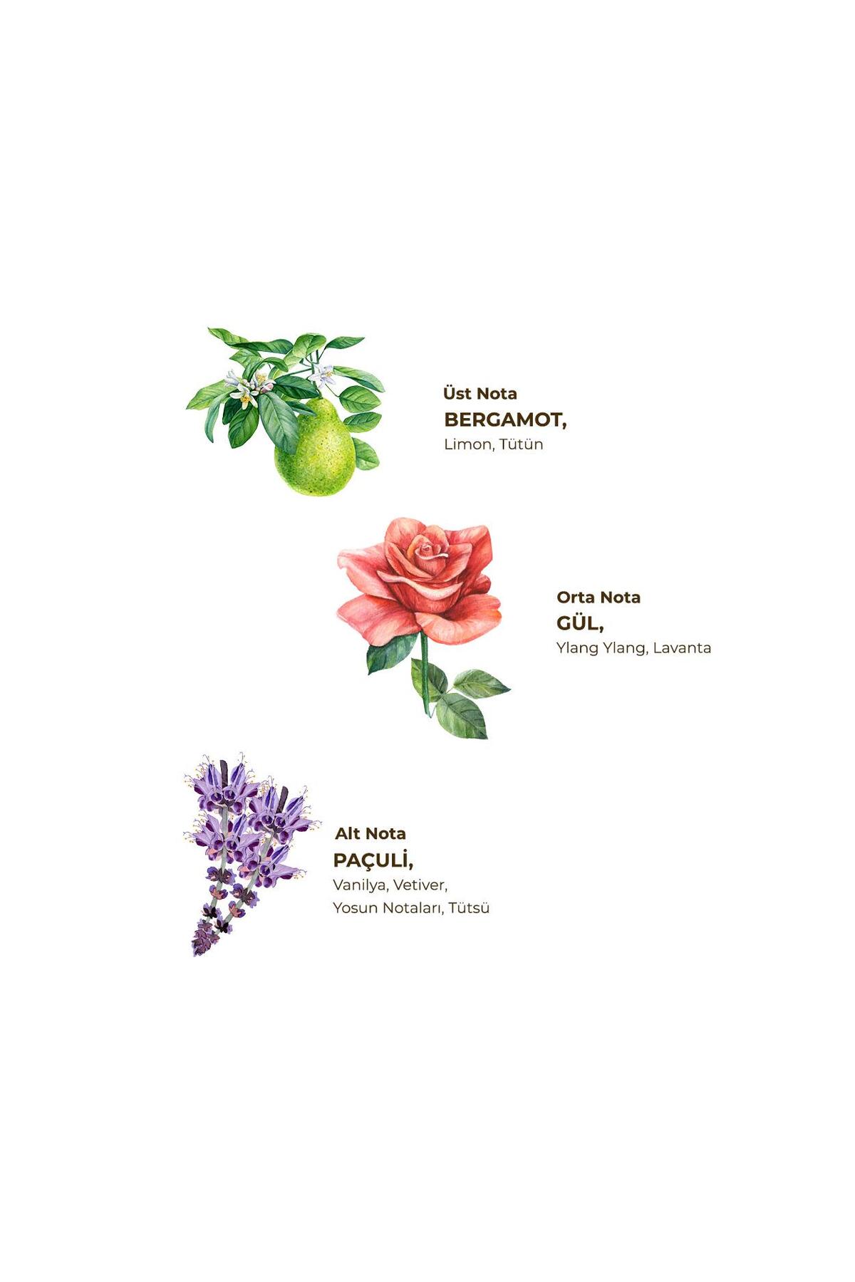 Eyüp Sabri Tuncer Tütün Kolonyası 400 Ml - Pet Şişe-